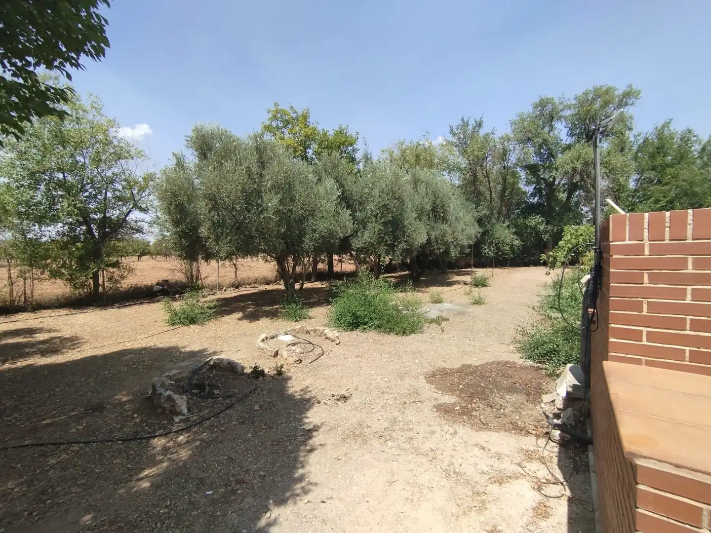 Finca rústica en venda en Argamasilla de Alba amb Jardí privat, Piscina i Moblat