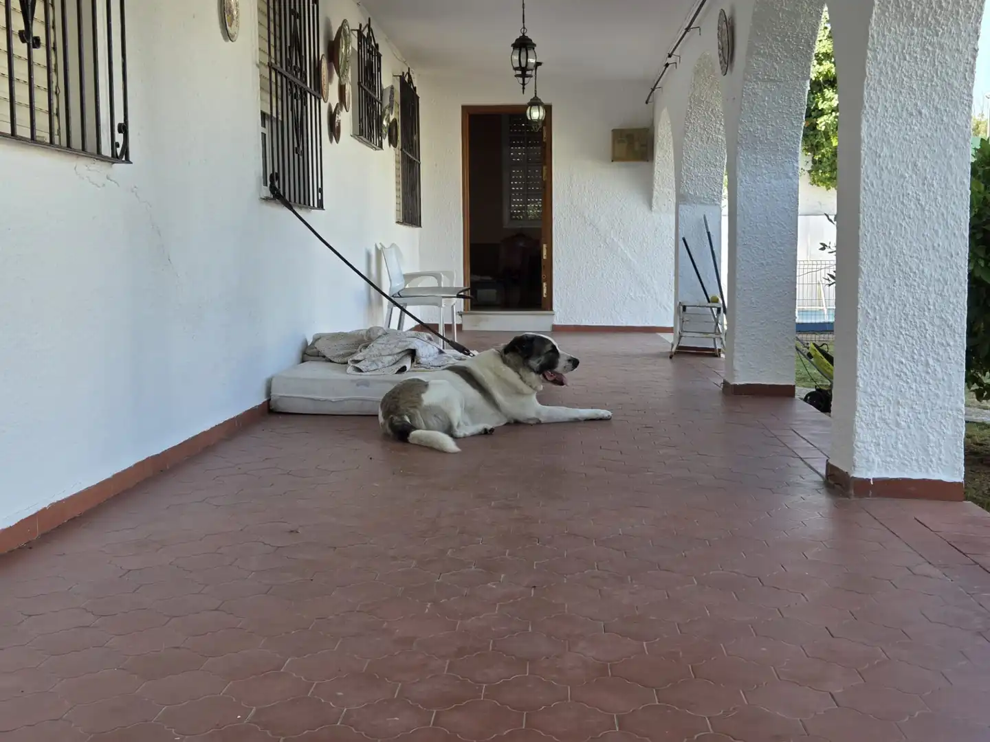 Exterior view of Houses for sale in Algeciras  with Swimming Pool and Furnished
