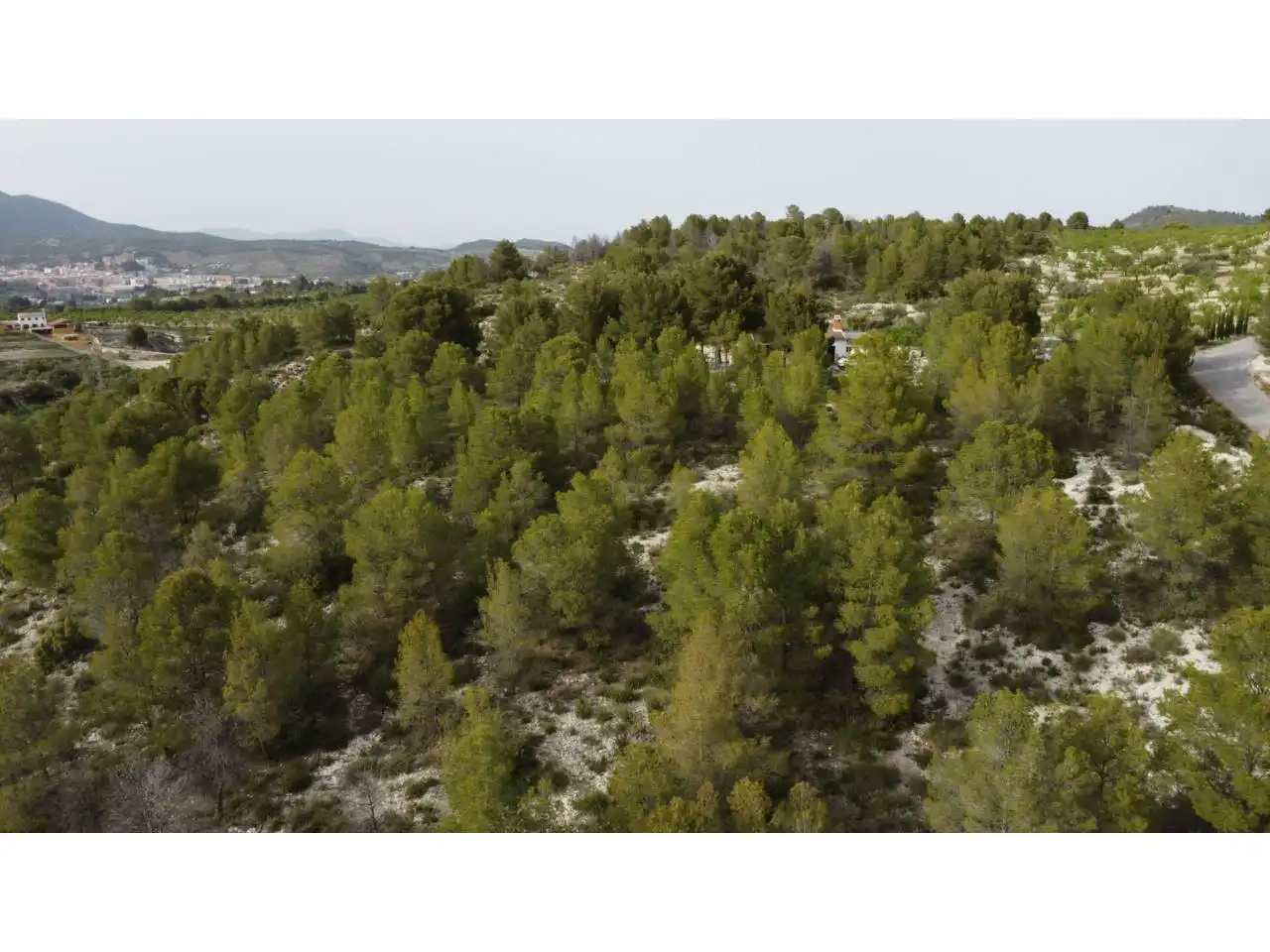 Terreno residencial en venta en Caravaca de la Cruz, imagen 25