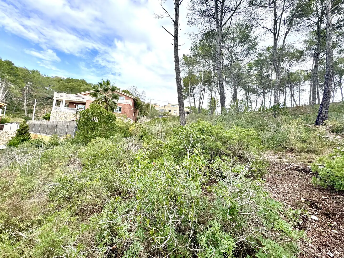 Grundstücke und Bauplätze zum Verkauf in Olivella, imagen 16