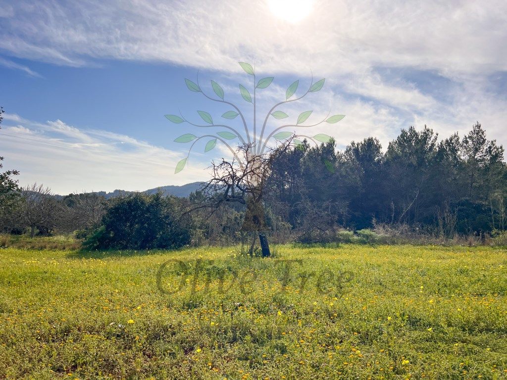 House or chalet to rent in Sant Joan de Labritja