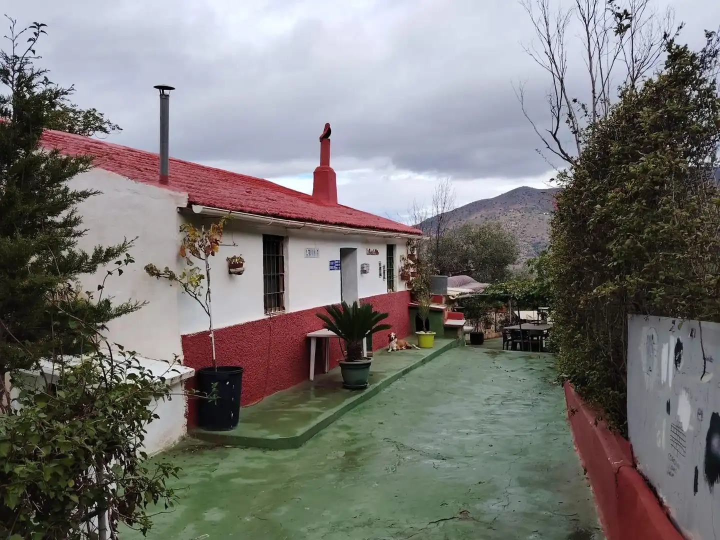 Terreni e lotti in vendita a Carretera de Casabermeja