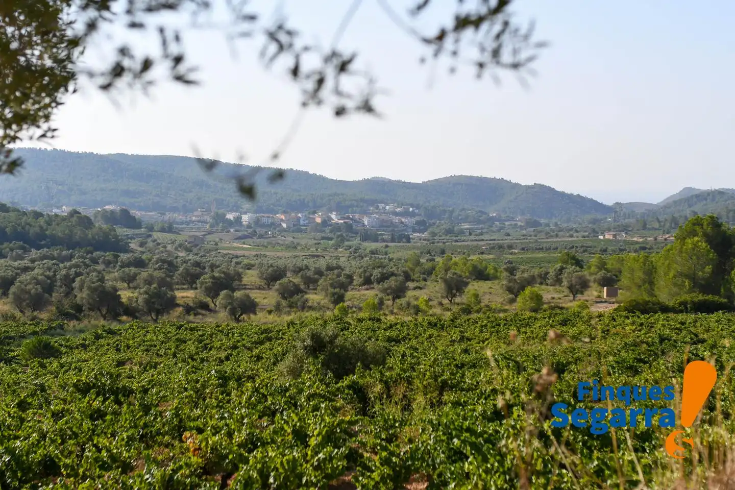 Land for sale in Bonastre, Bonastre