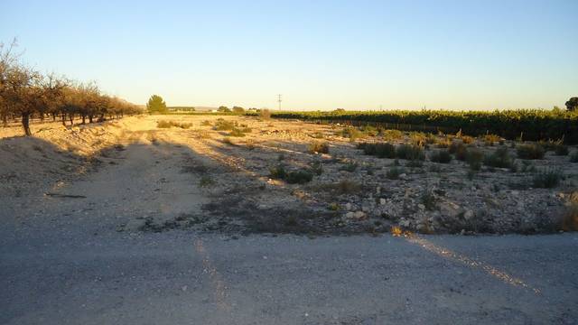 Terreno en Venta en Abanilla