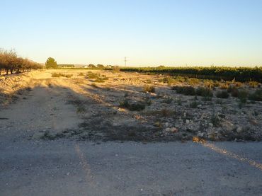Terreno rustico in vendita a Abanilla