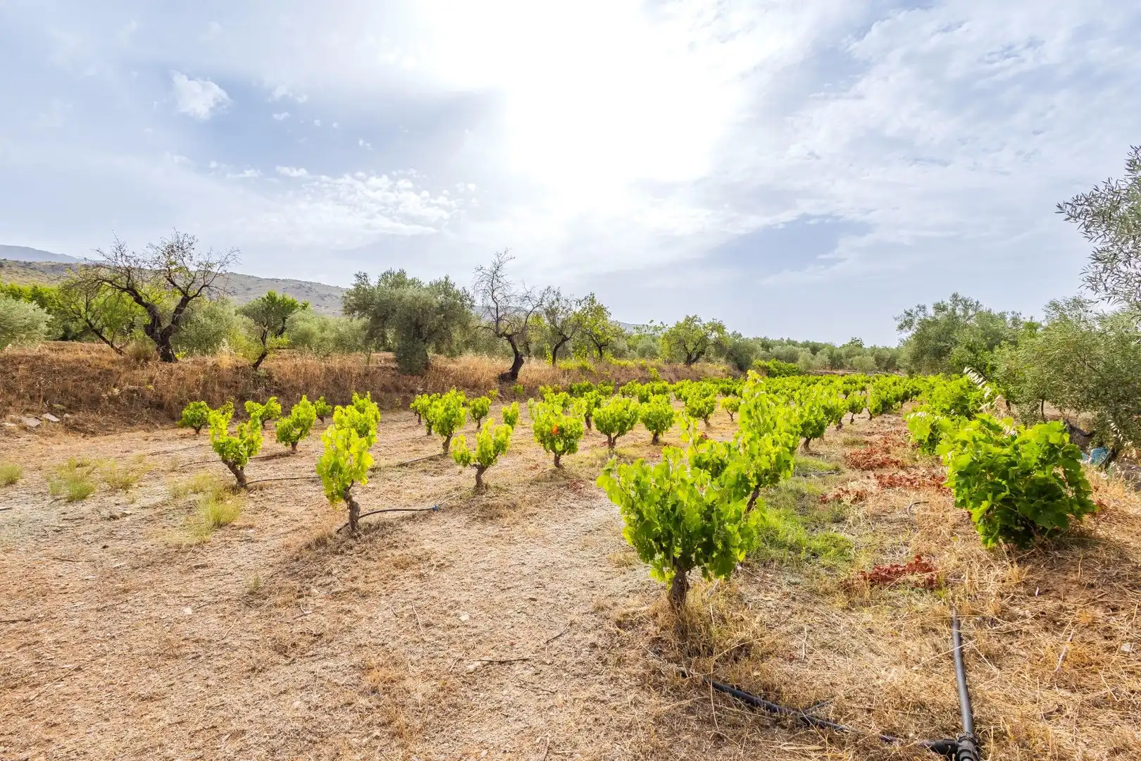 Country homes for sale in Abrucena  with Storage room