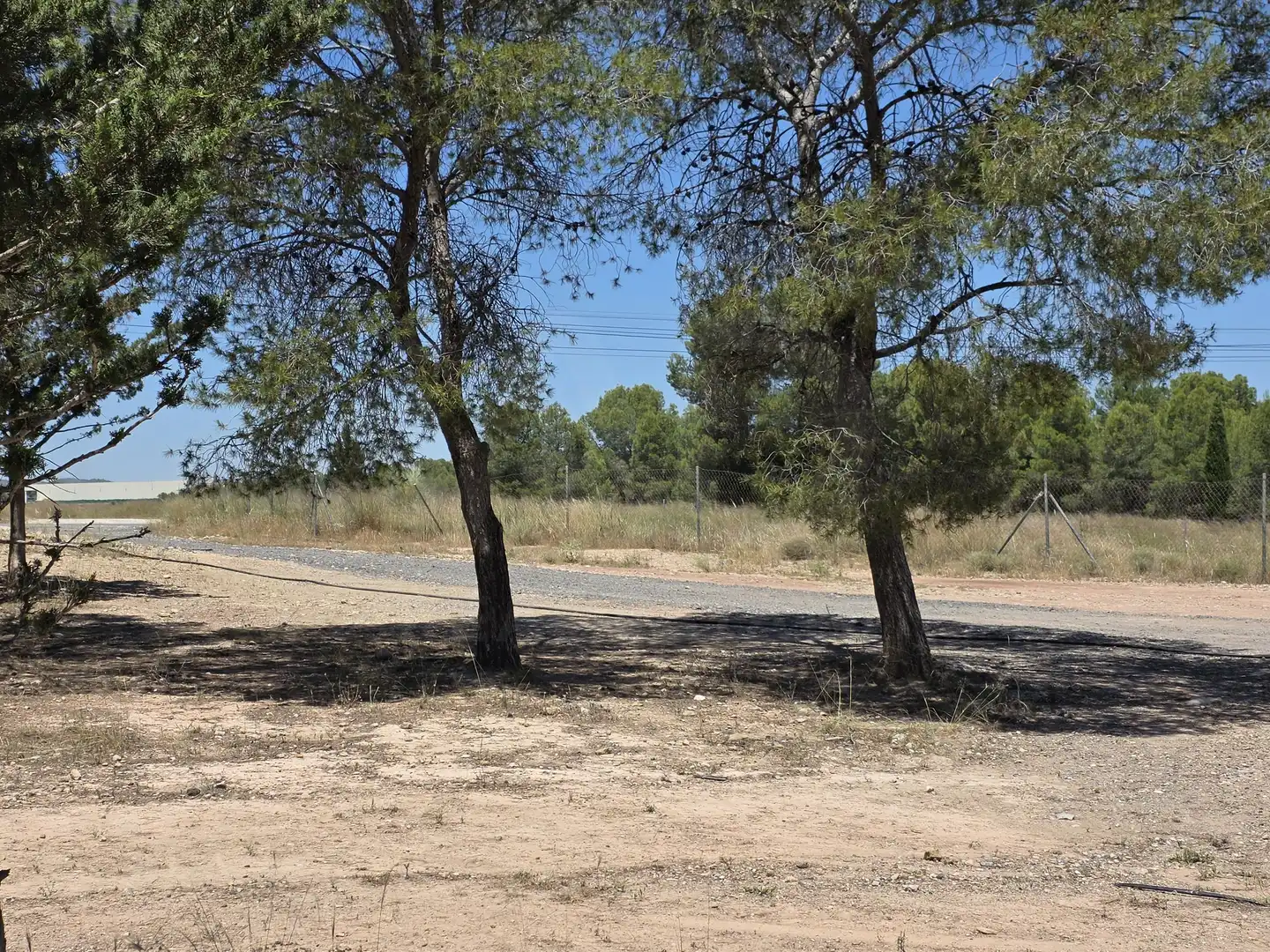 Terreny rústic en venda a Calasparra, imagen 4