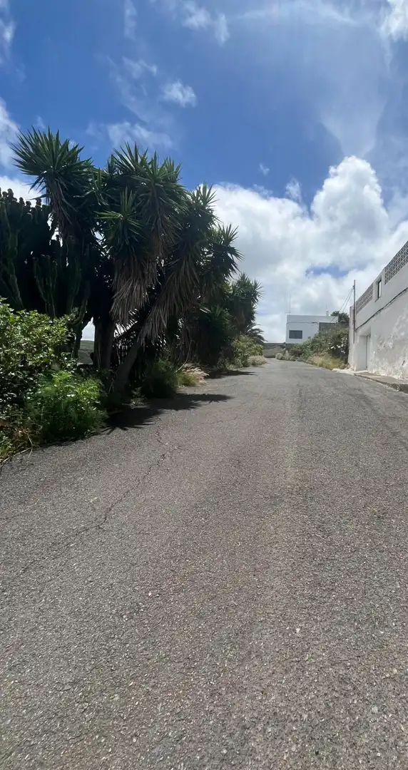 Vista exterior de Casa o chalet en venta en Moya (Las Palmas) con Jardín privado, Terraza y Amueblado
