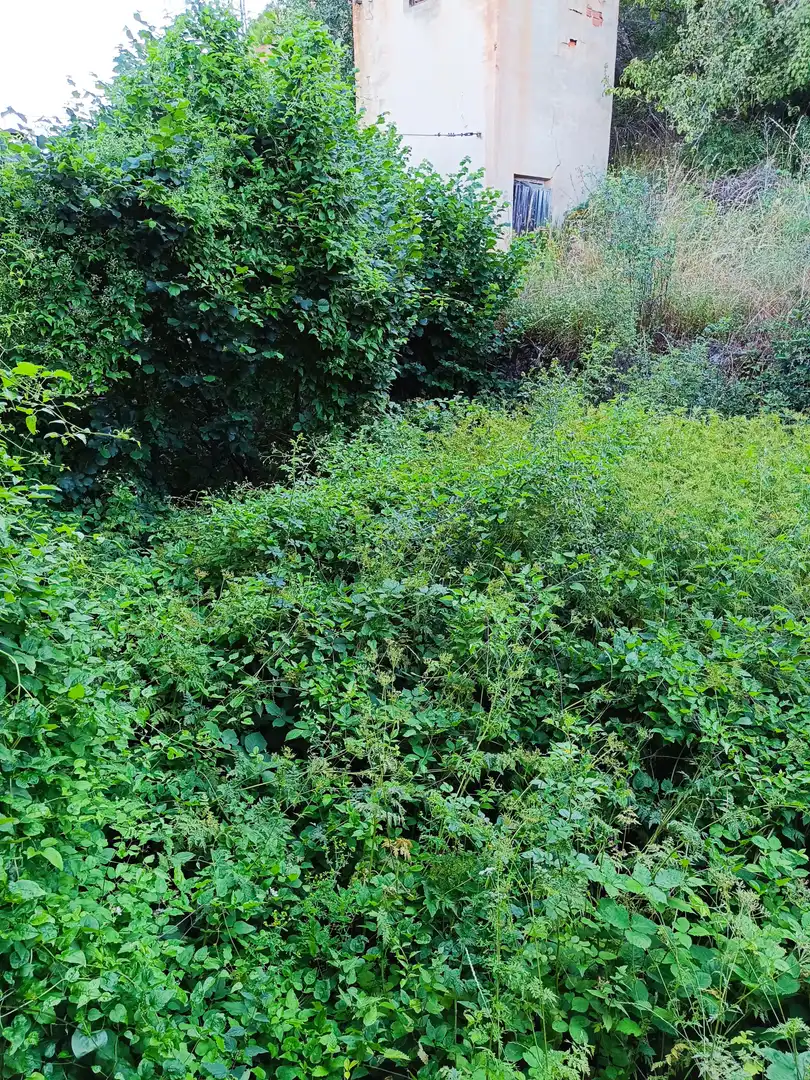 Casa o chalet en venta en Cervera de Pisuerga