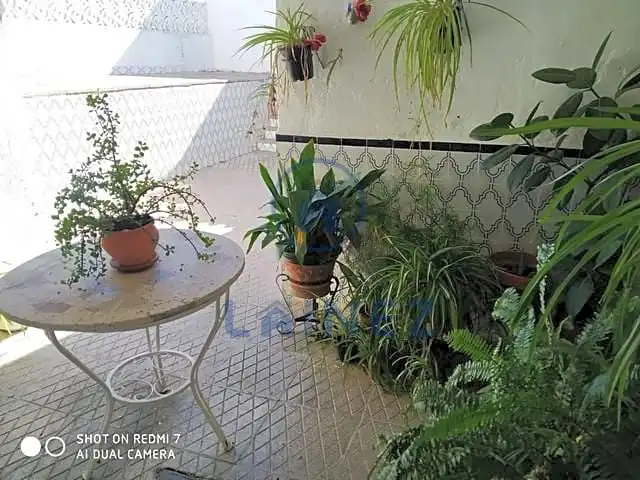 Casa con terraza en venta en Fuente Obejuna, imagen 23
