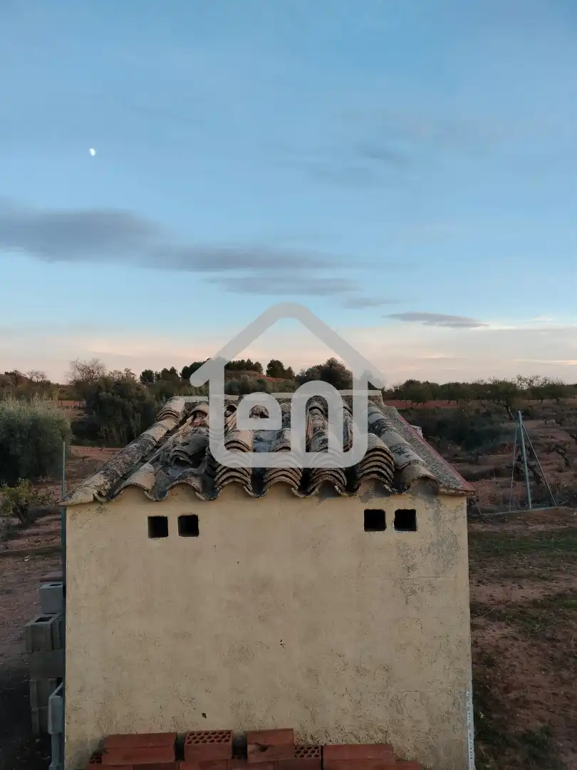 Rural land for sale in Requena, imagen 11