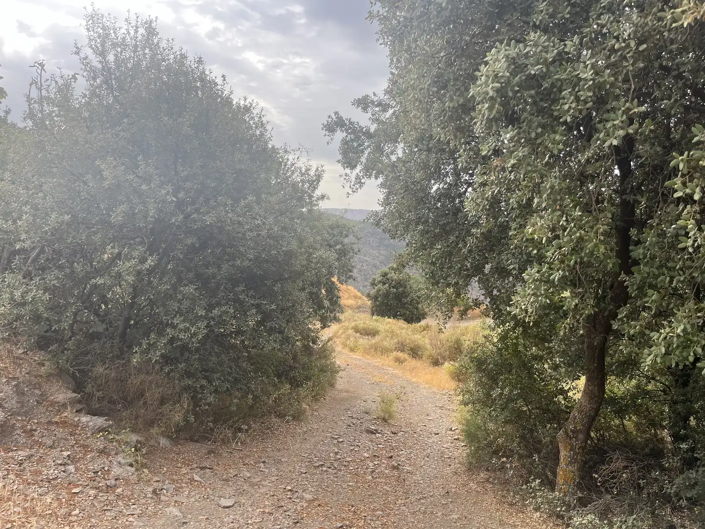 Vista exterior de Terreno en venta en La Taha