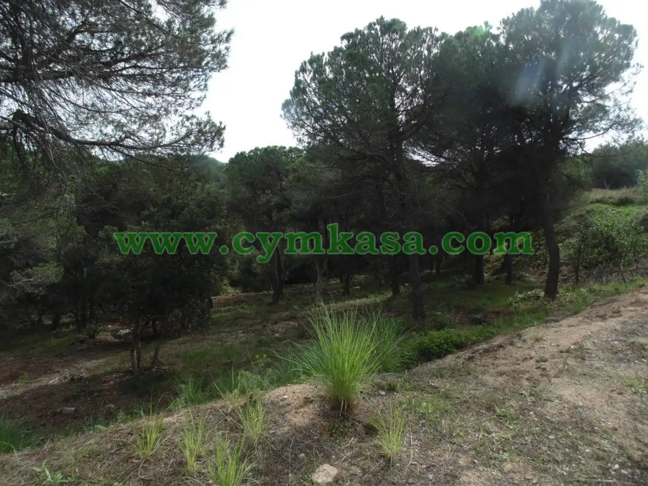 Terreno residencial en venta en Calle PEDRAFORCA 13, imagen 3