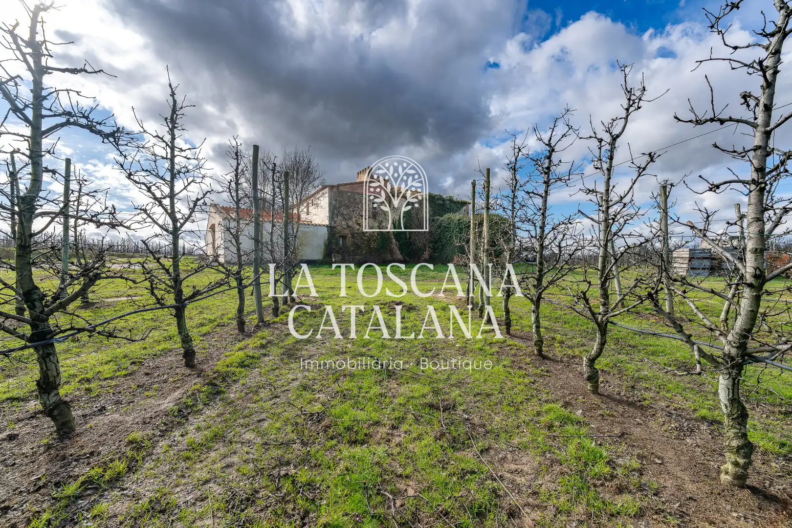 Finca rústica en venta en Campllong