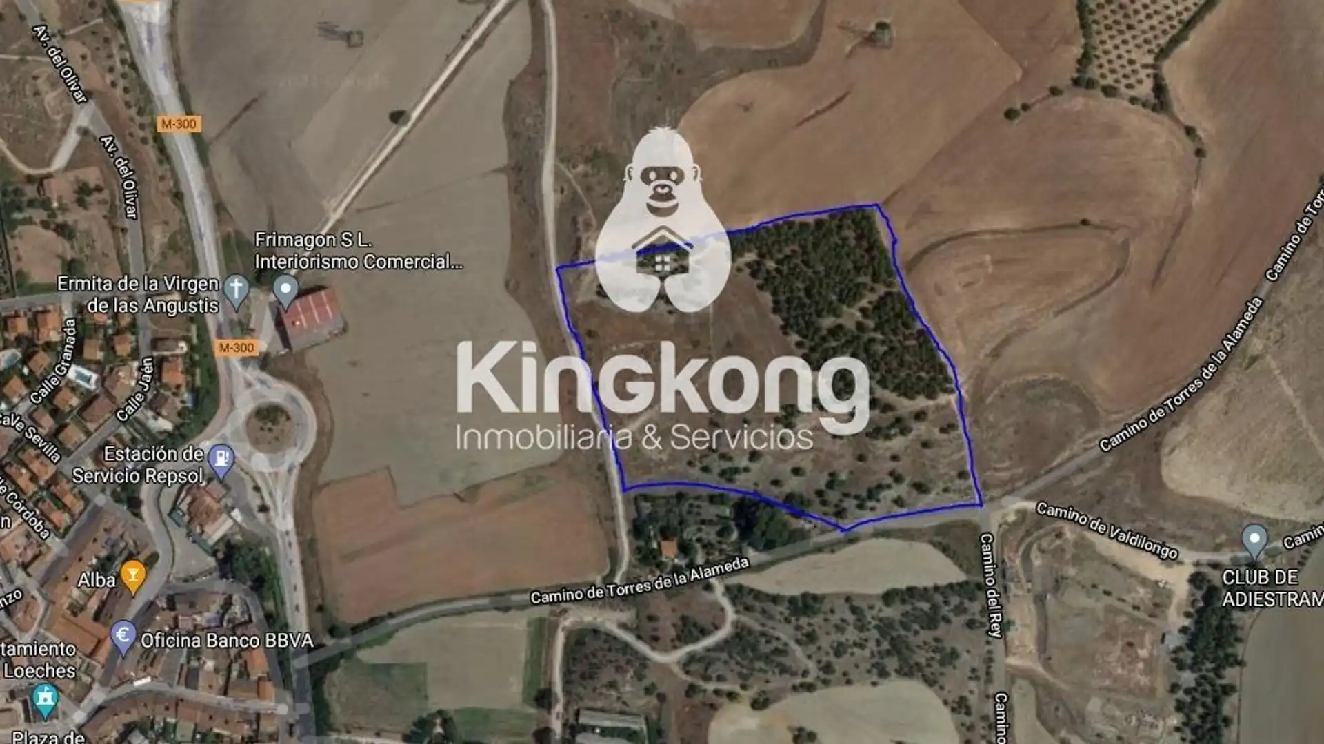 Terreno en venta en Loeches