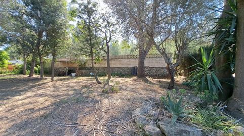 Foto 5 de Casa o chalet en venta en Alberic, Valencia