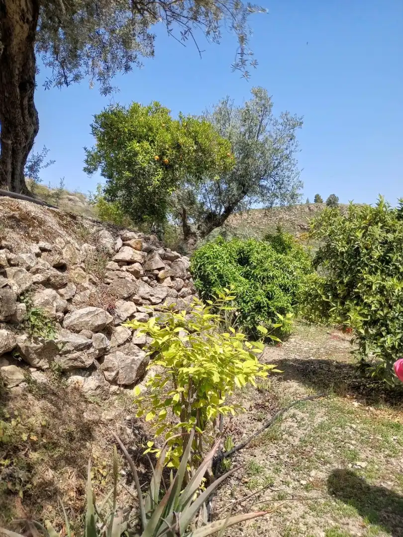 Terreni e lotti in vendita a El Valle, imagen 27