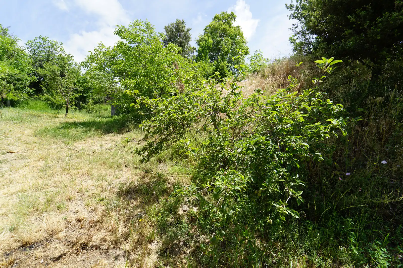 Finca rústica en venda en La Taha amb Terrassa i Moblat