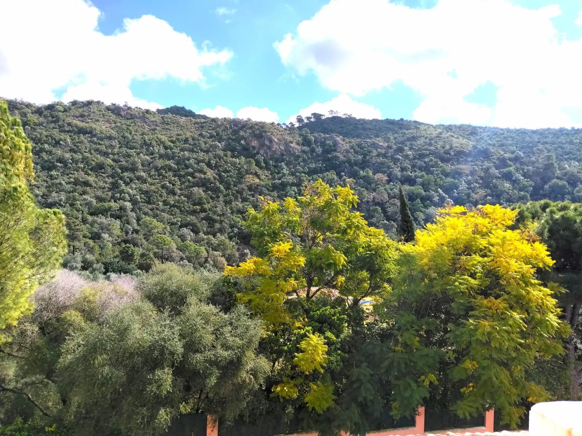 Vista exterior de Pis en venda en Benahavís amb Aire condicionat, Terrassa i Traster