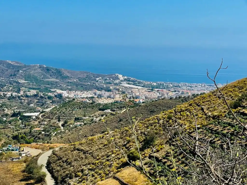 Vista exterior de Finca rústica en venda en Torrox