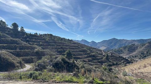 Foto 4 de Terreno en venta en Porrera, Tarragona
