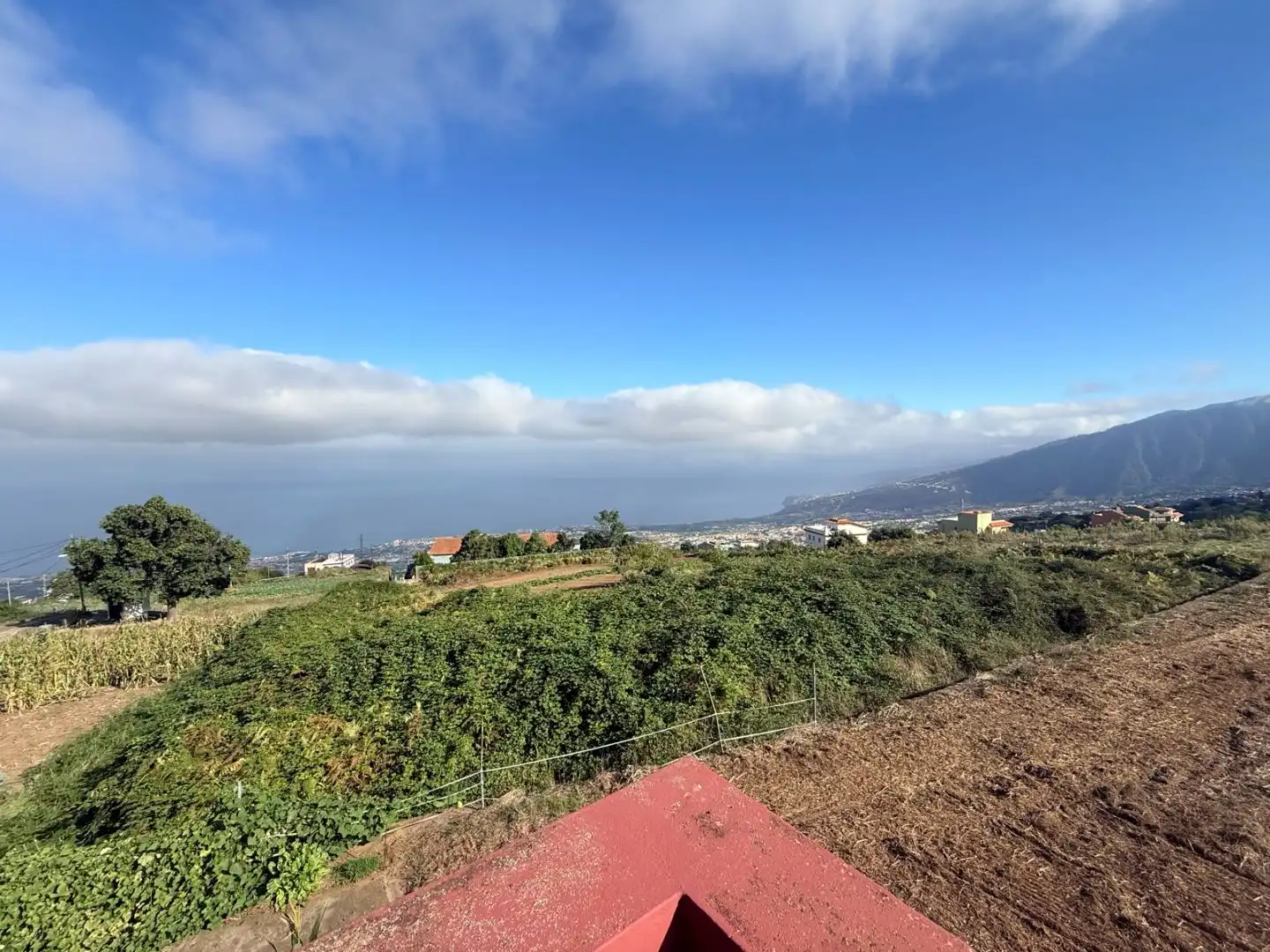 Finca rústica en venda en La Orotava