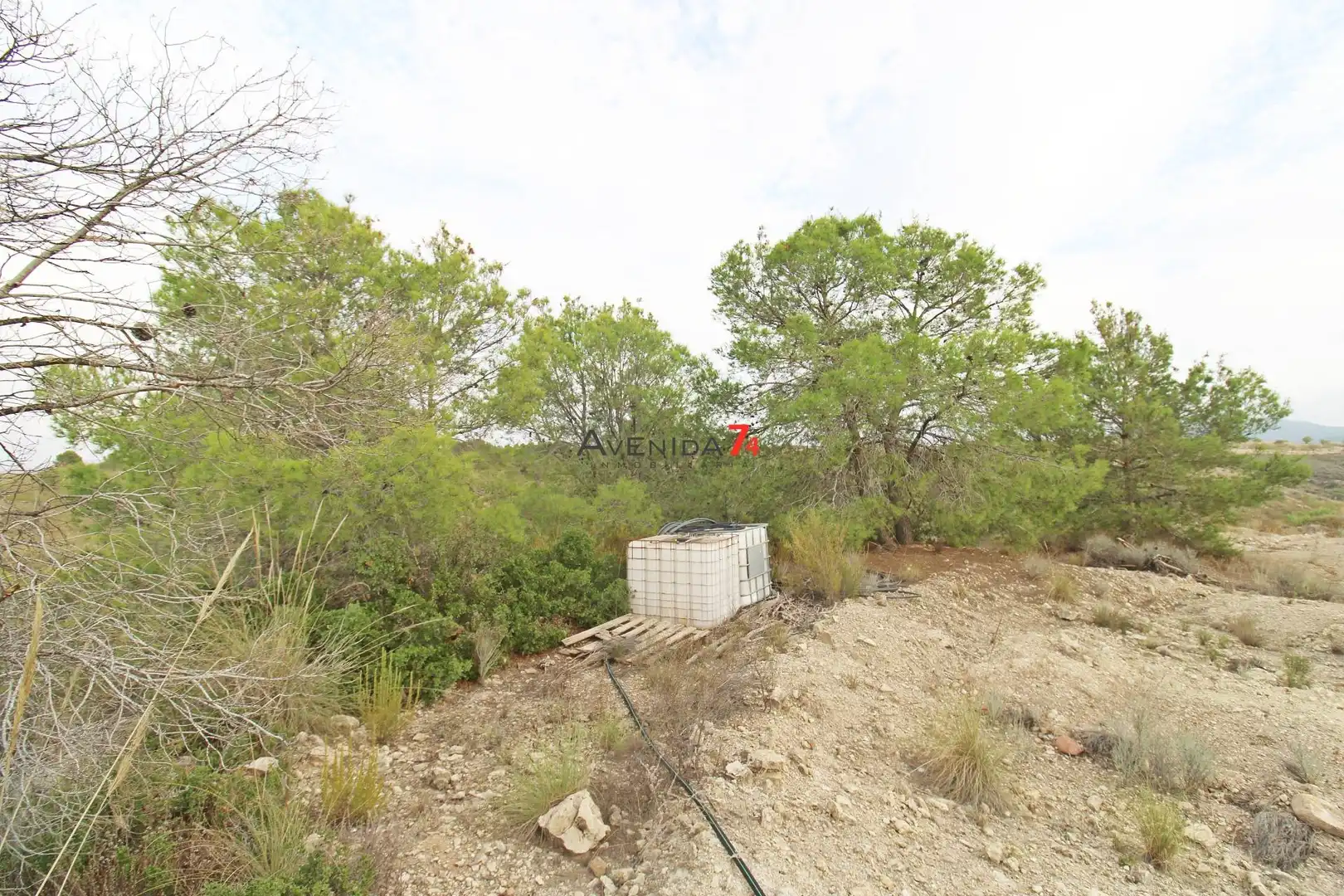 Terrains et parcelles à vendre à Pedanías Norte, imagen 8