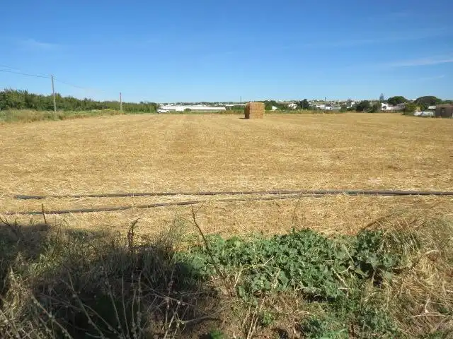 Rural land for sale in Barrio Nuevo, imagen 9