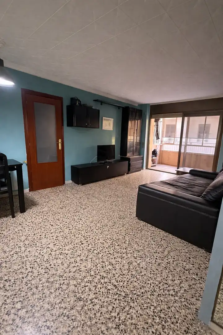 Sala de estar de Piso de alquiler en Sant Andreu de la Barca