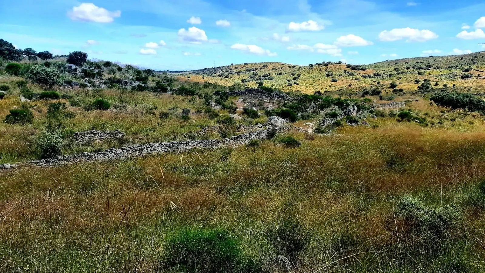 Terreni e lotti in vendita a Villar del Pedroso, imagen 15