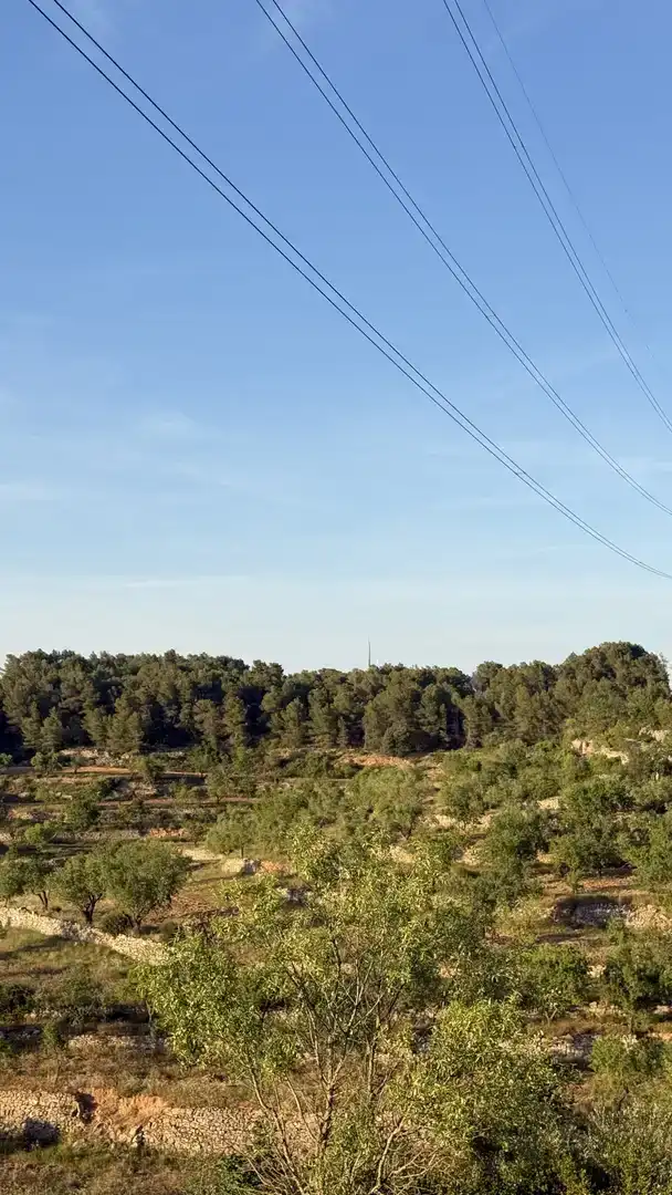Finca rústica en venda en La Fatarella amb Jardí privat