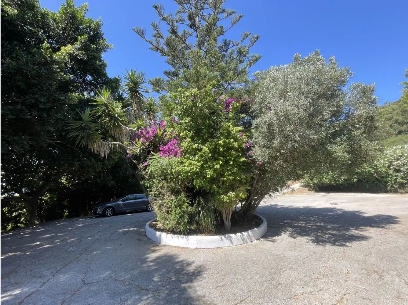 Exterior view of Houses for sale in Algeciras  with Private garden, Terrace and Furnished