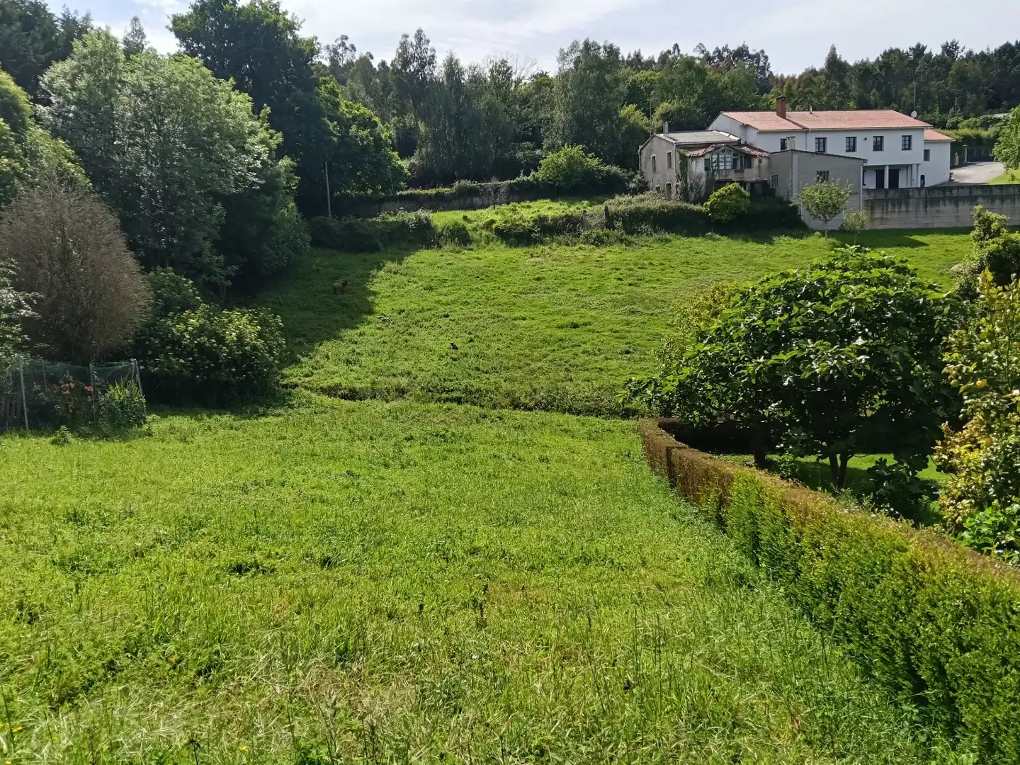 Adossat amb jardí en venda a Oza dos Ríos, imagen 10