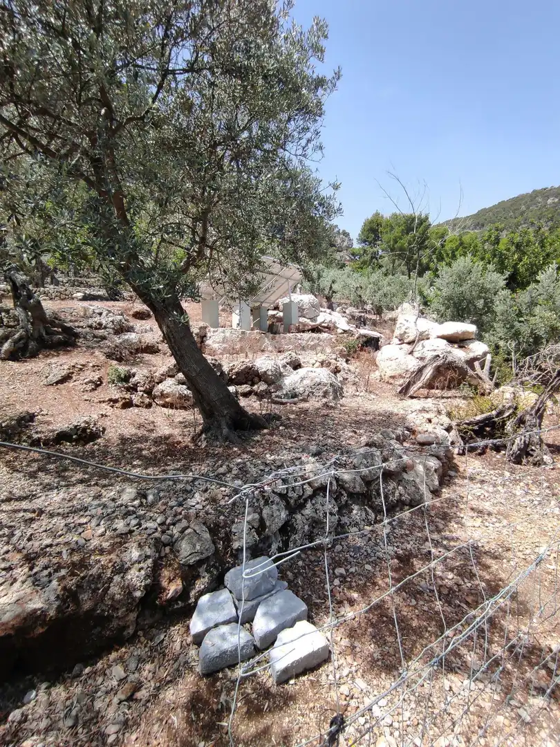 Finca rústica en venda en Fornalutx amb Jardí privat, Terrassa i Traster