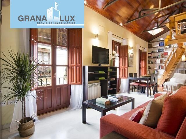 Sala d'estar de Loft de lloguer en  Granada Capital amb Calefacció