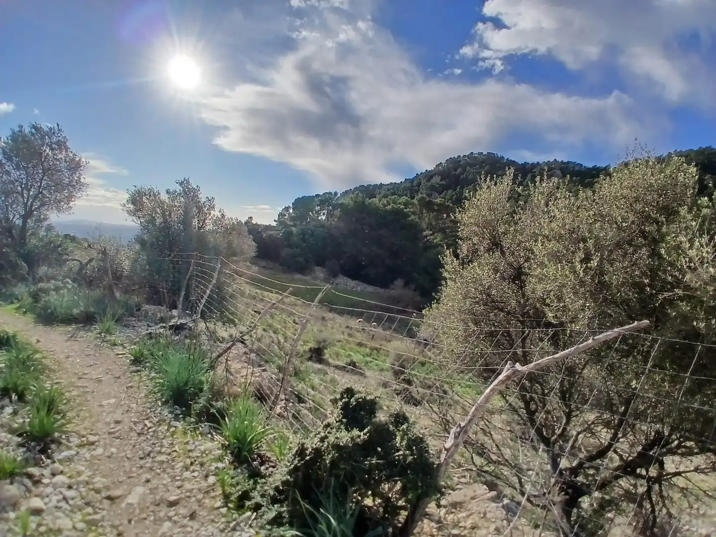 Finca rústica en venta en Mancor de la Vall