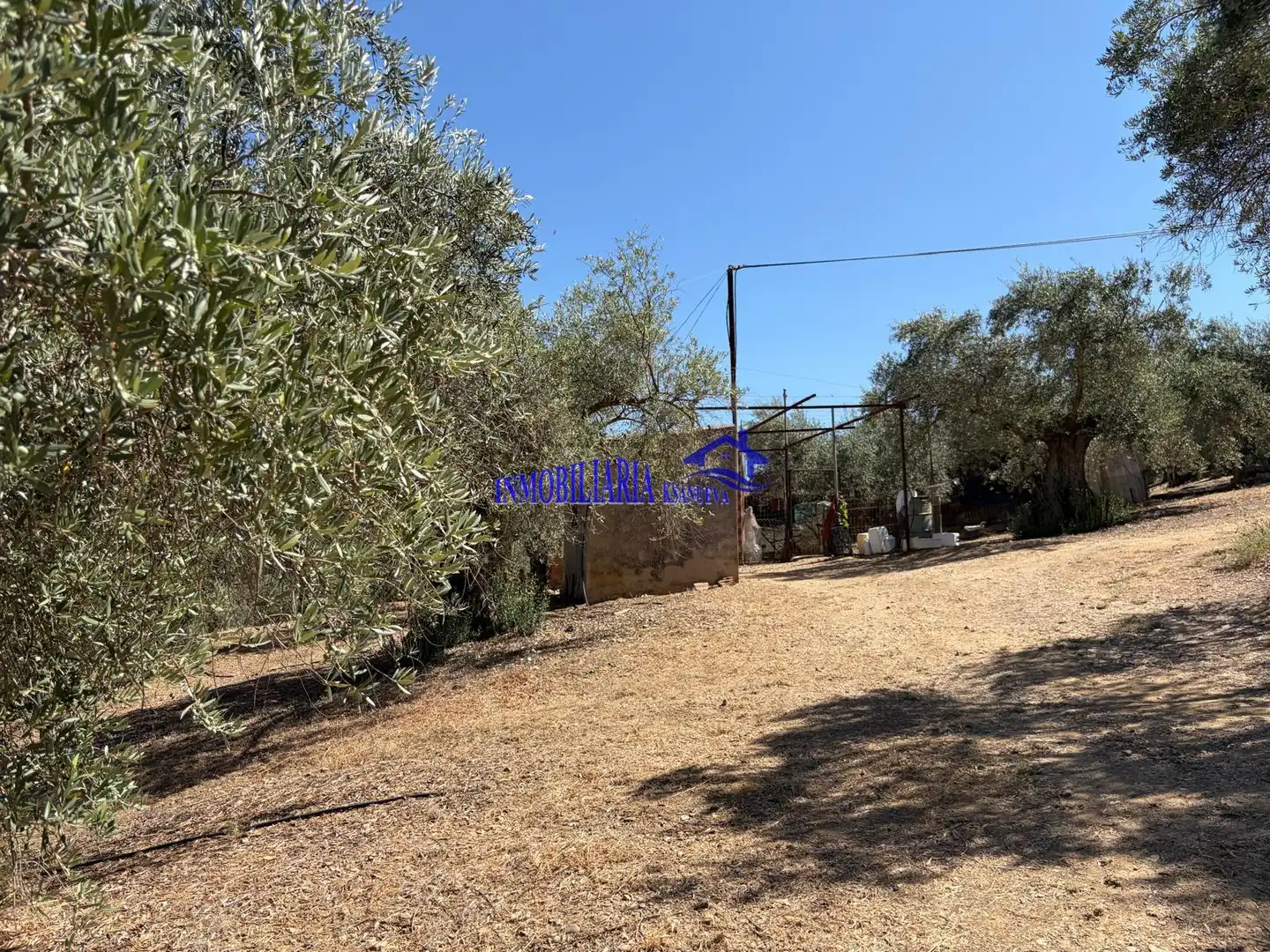Finca rústica en venda en Adamuz