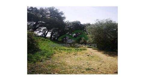 Photo 5 of Country homes for sale in Jubrique, Málaga