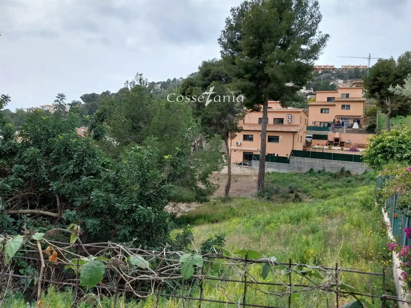 Terrain rustique à vendre à ILLES FILIPINES, imagen 8