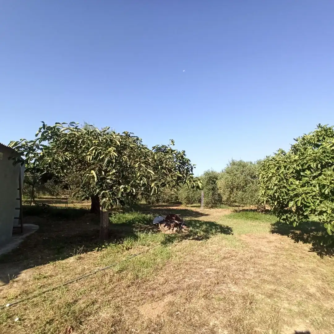 Finca rústica en venta en Reus