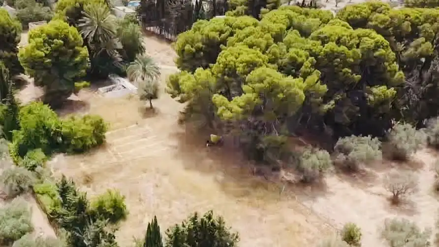 Finca rústica en venda en Alicante / Alacant amb Terrassa i Piscina