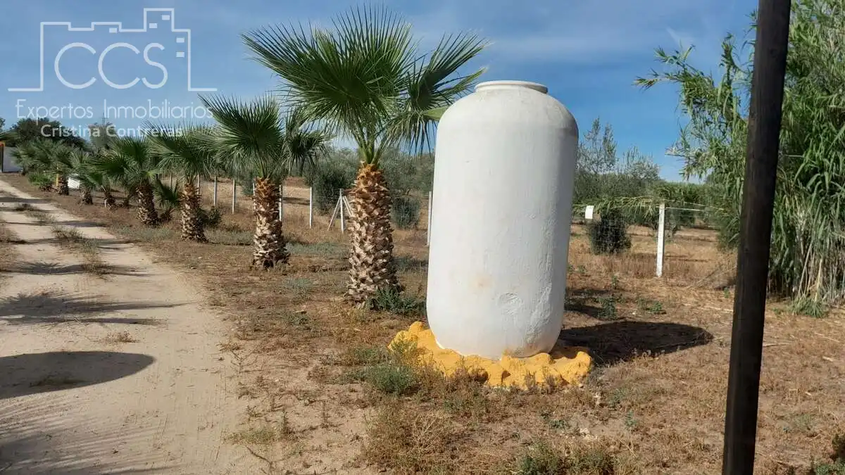 Casa rústica amb jardí en venda a Almonte ciudad, imagen 18