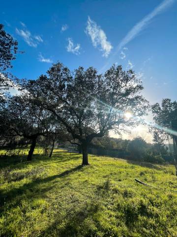 Terreno residencial en Venta en N/A, -1 en Centro Ciudad