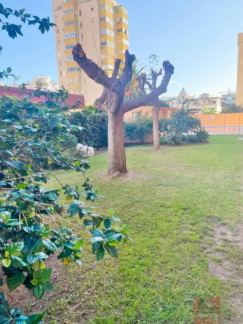 Pis amb piscina en venda a Rodrigo de triana, imagen 2