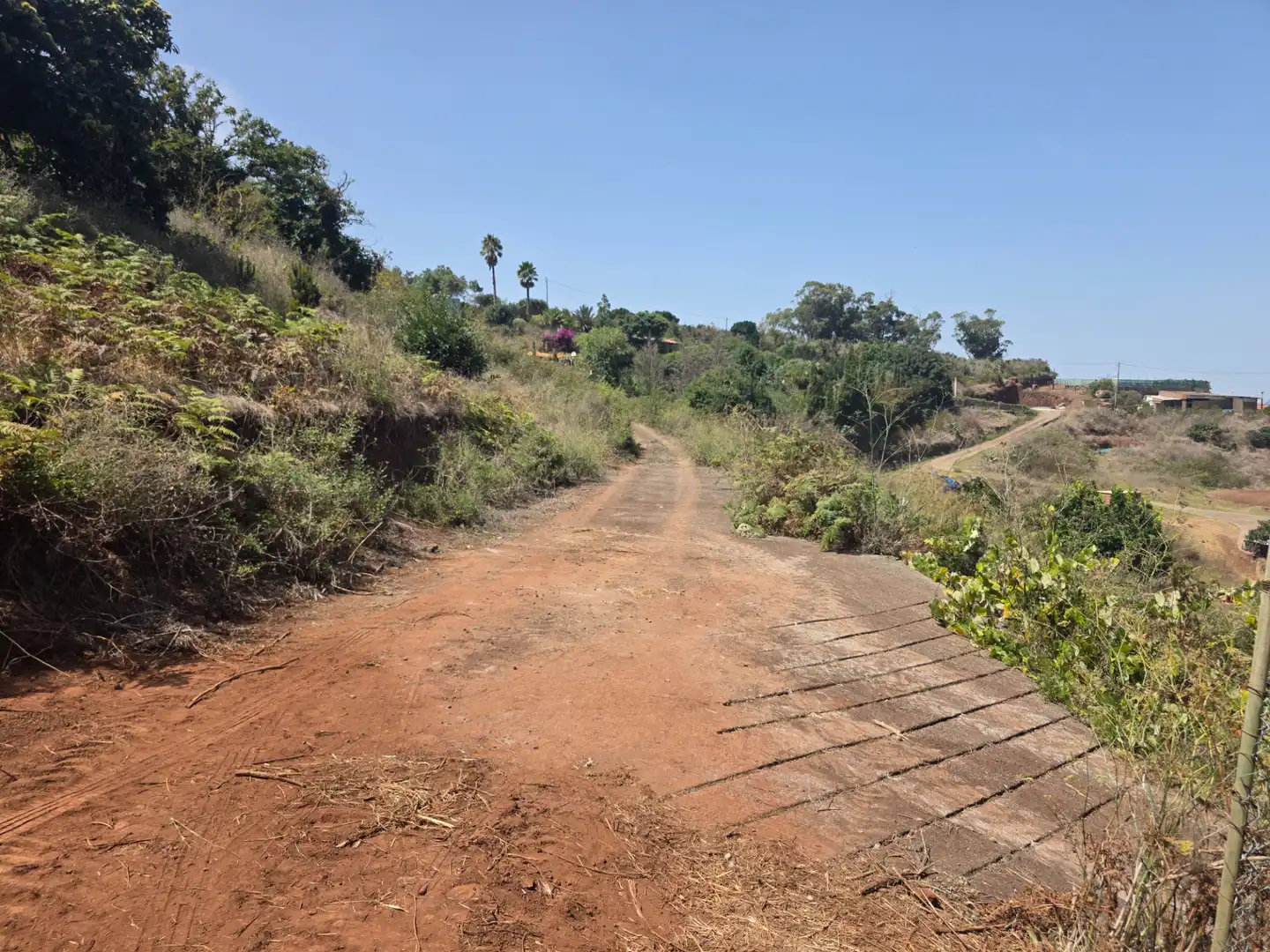 Rural land for sale in Camino las Peñuelas 11, imagen 25