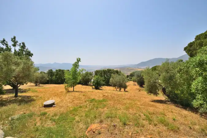 Terrain rustique à vendre à El Gastor, imagen 4