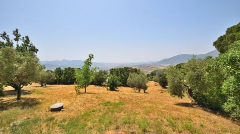 Foto 4 de Terreno en venta en El Gastor, Cádiz