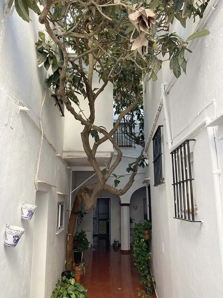Casa en venda a Tarifa ciudad, imagen 6