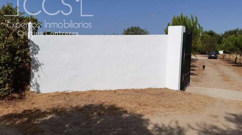 Foto 5 de Finca rústica en venta en Almonte ciudad, Almonte