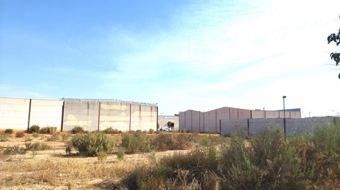 Foto 3 de Terreno industrial en venta en Calle Los Jardales, 21, Lepe, Huelva
